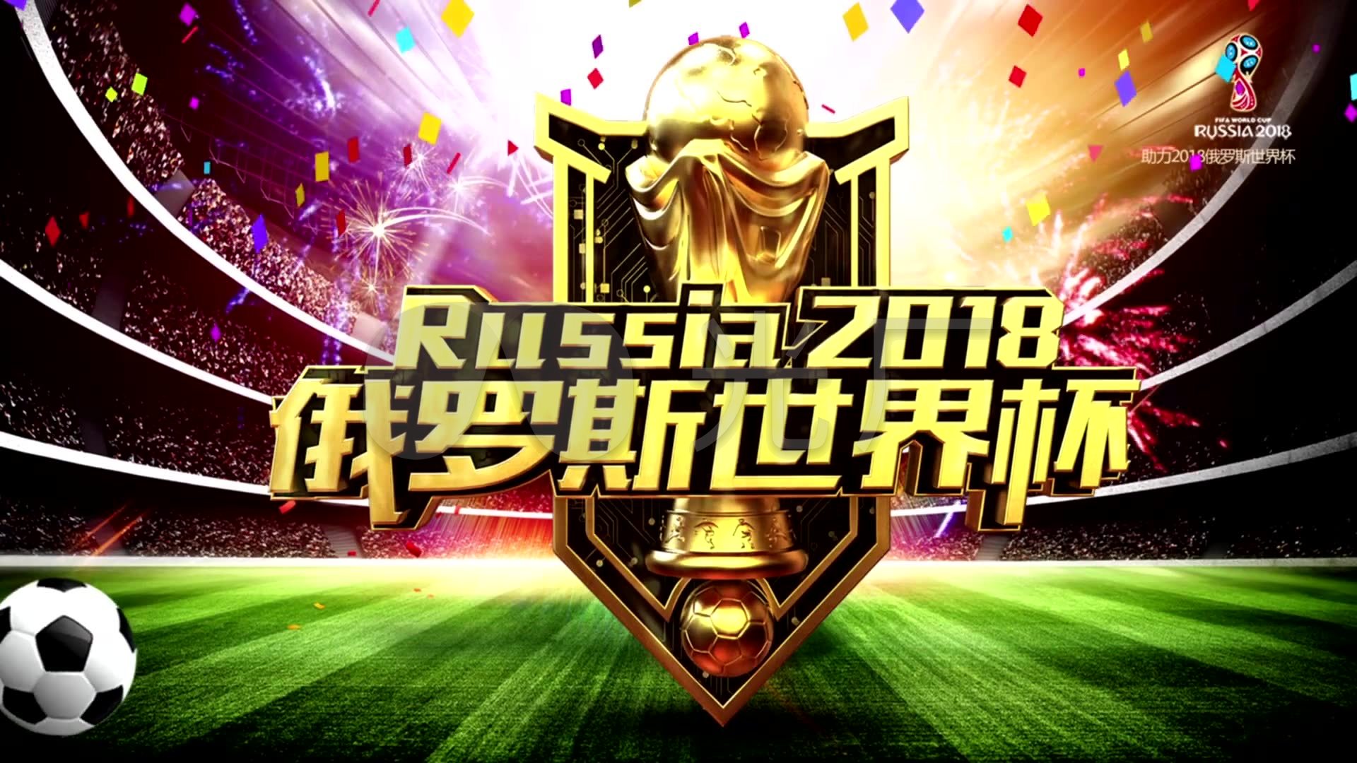 体表现